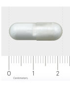 AOV 511 Magnesium Pidolaat (Magnesium L-Pidolat liefert 35mg Mg) 90 veg. Kapseln by AOV